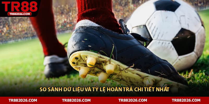 So sánh dữ liệu và tỷ lệ hoàn trả chi tiết nhất